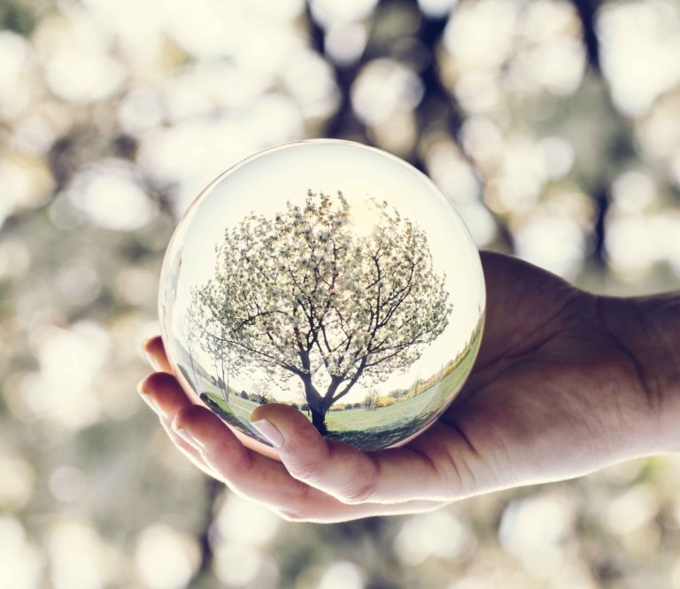Reflectie van een boom in een glazen bol